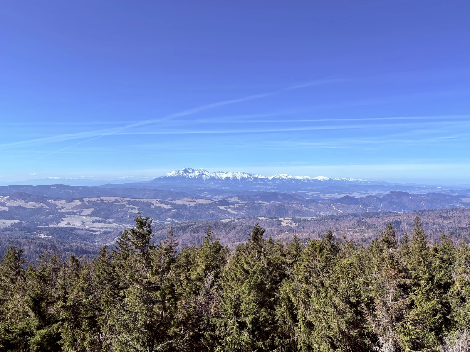 Tatras from Radziejowa tower (Beskid Sądecki)