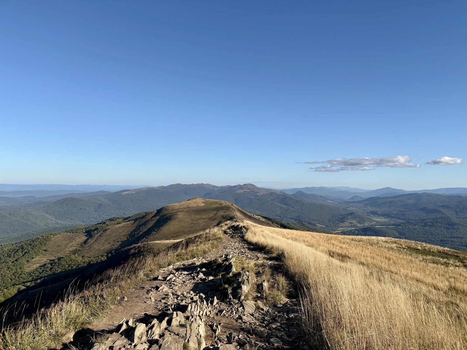 Tarnica from Połonina Caryńska (Bieszczady)