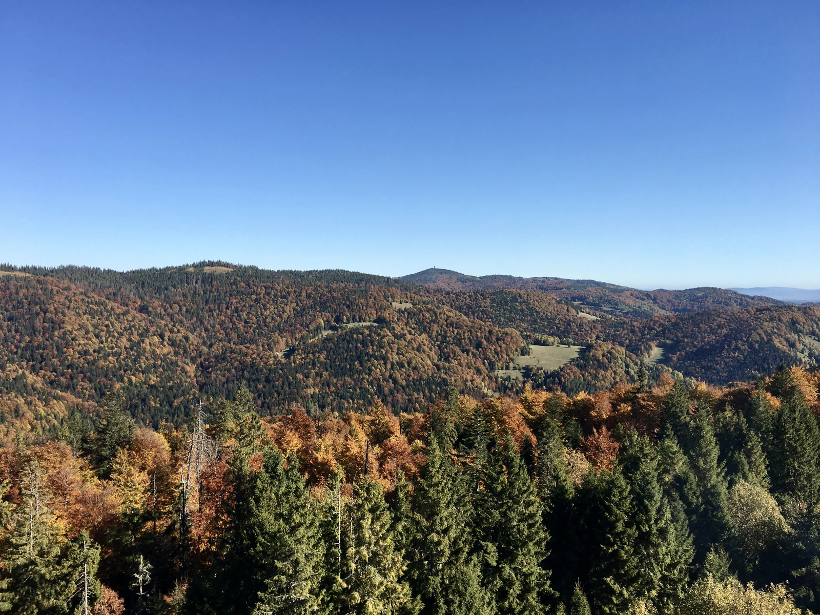 Gorc from Magurki tower (Gorce)