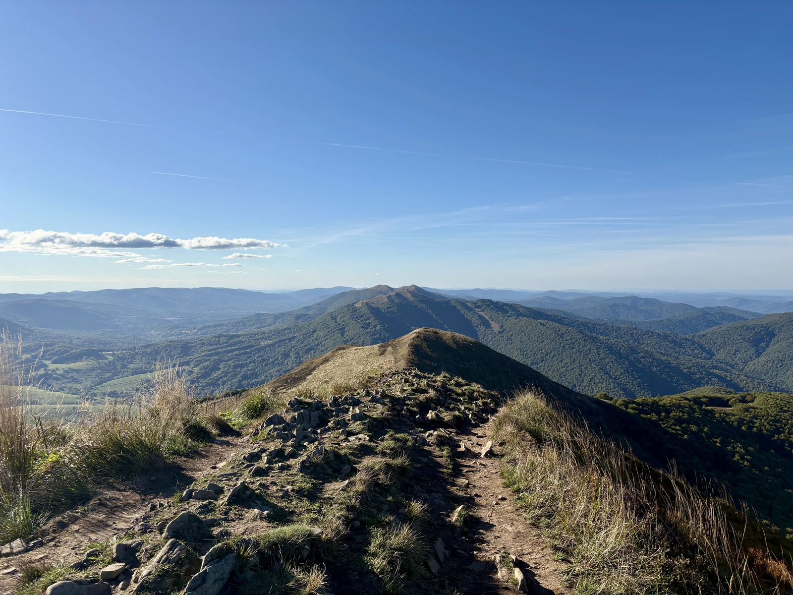 Połonina Wetlińska from Połonina Caryńska (Bieszczady)